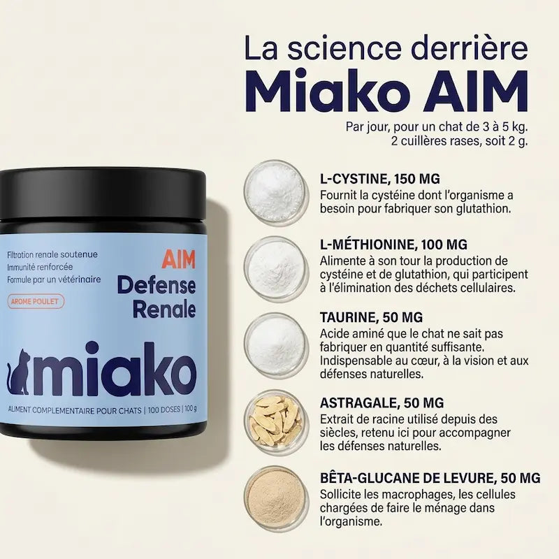 Miako AIM