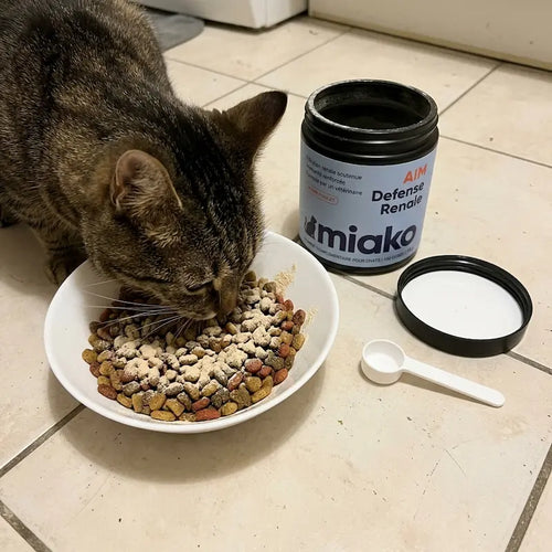 Chat mangeant ses croquettes saupoudrees de Miako AIM