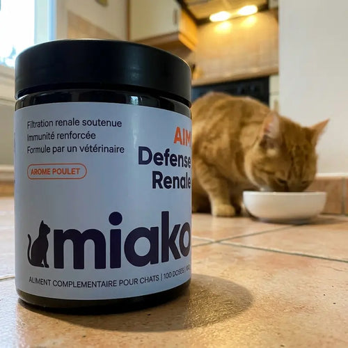 Pot de Miako AIM et chat roux qui mange